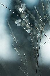 地牢探险卡牌游戏《地穴抓娃娃》现已在Steam平台正式推出